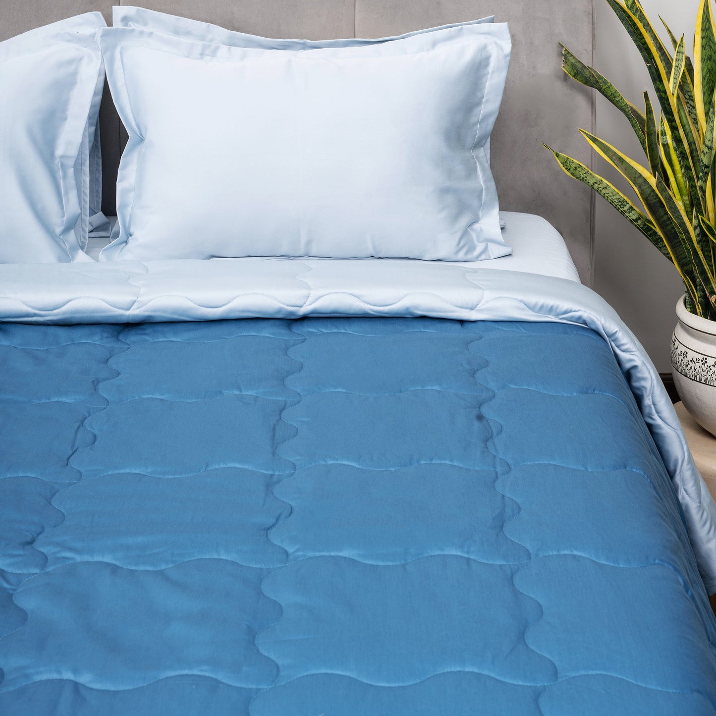 Blue Salt & Regal Whale Comforter