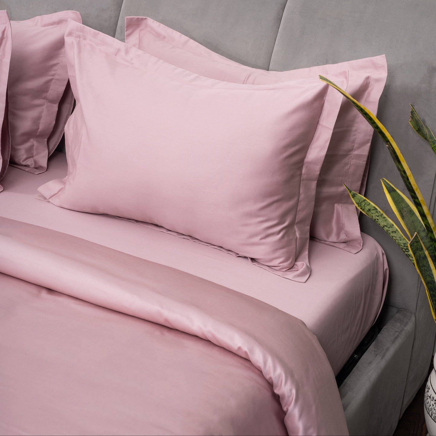 Blush Duvet Covers