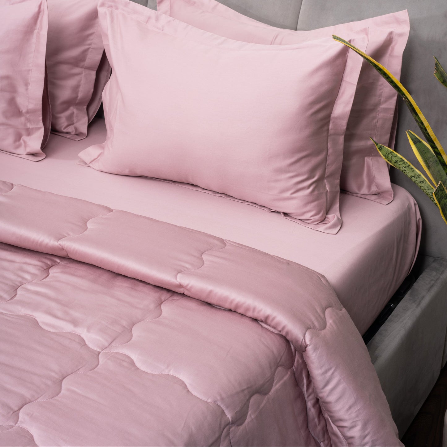 Blush Comforter