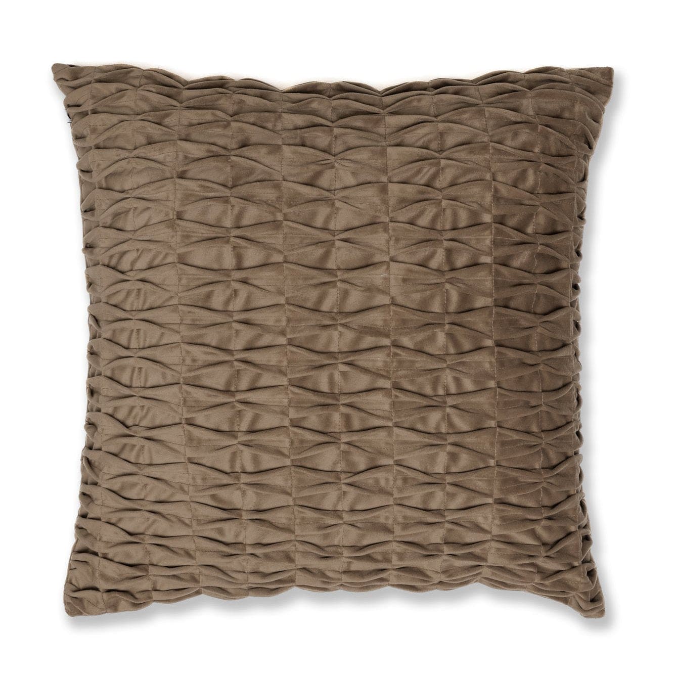 Verve Velvet Cushion