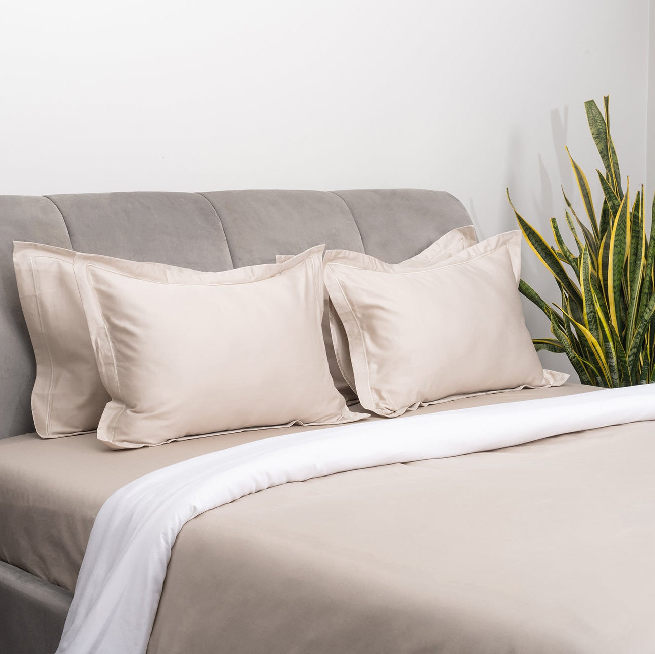 Irish Coffee and Brilliant White Duvet Covers