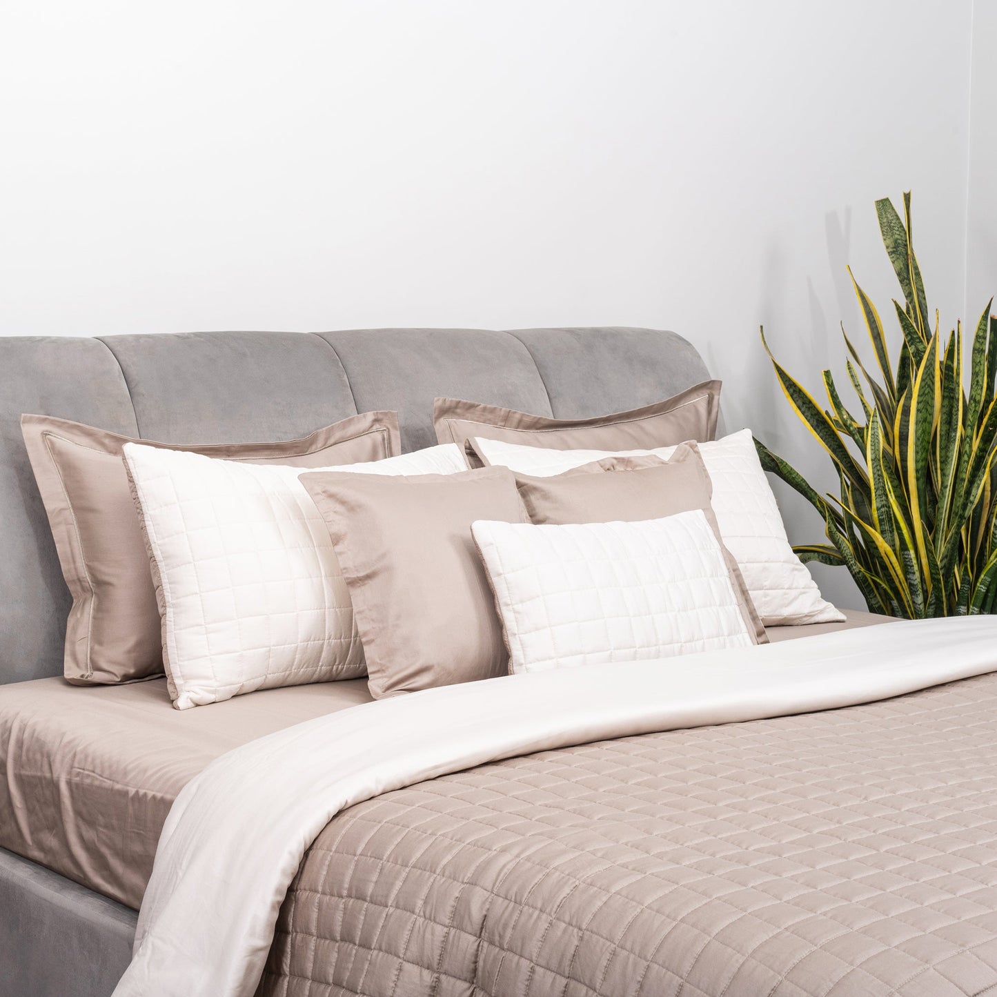 Taupe & Ivory Bedspread Set