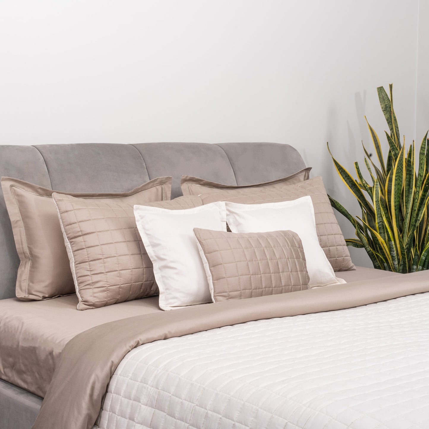 Taupe & Ivory Bedspread Set