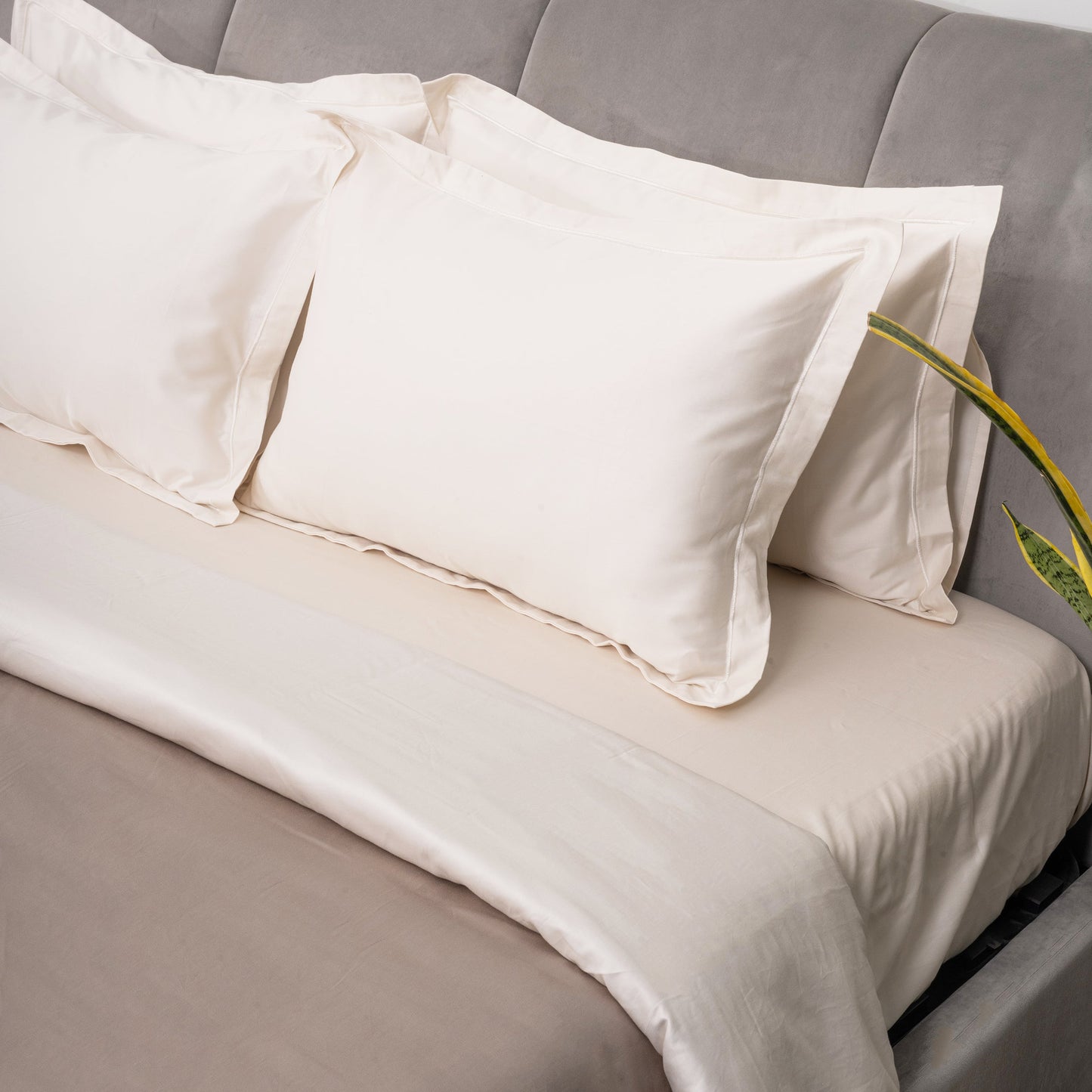 Irish Coffee and Brilliant White Duvet Covers