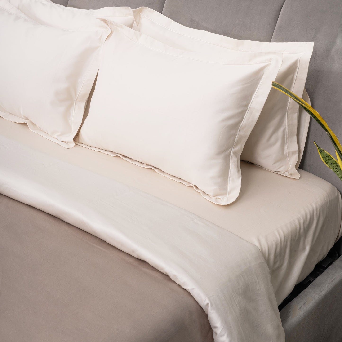 Taupe and Ivory Duvet Covers