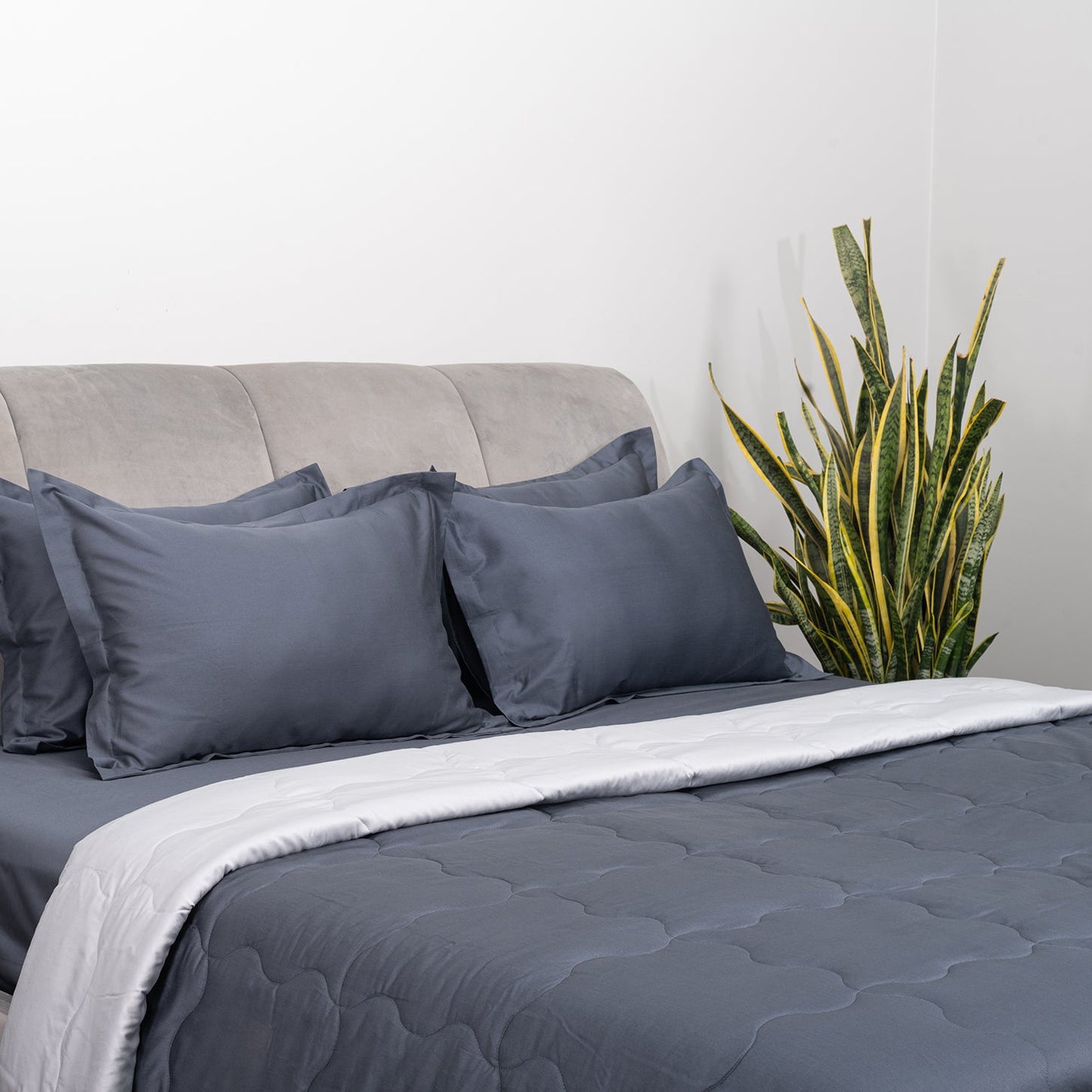 Pearl Essence & Carbon Diamond Comforter