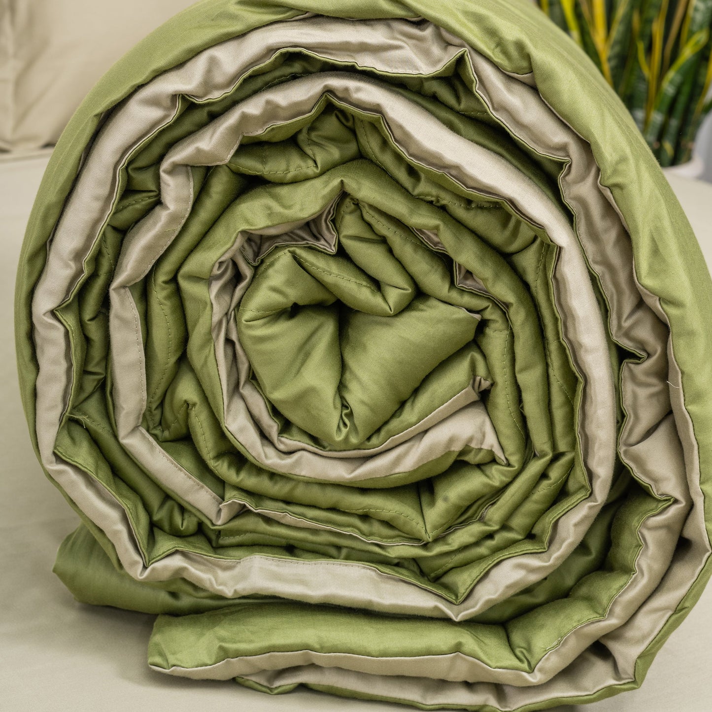 Forest Sage & Olive Comforter