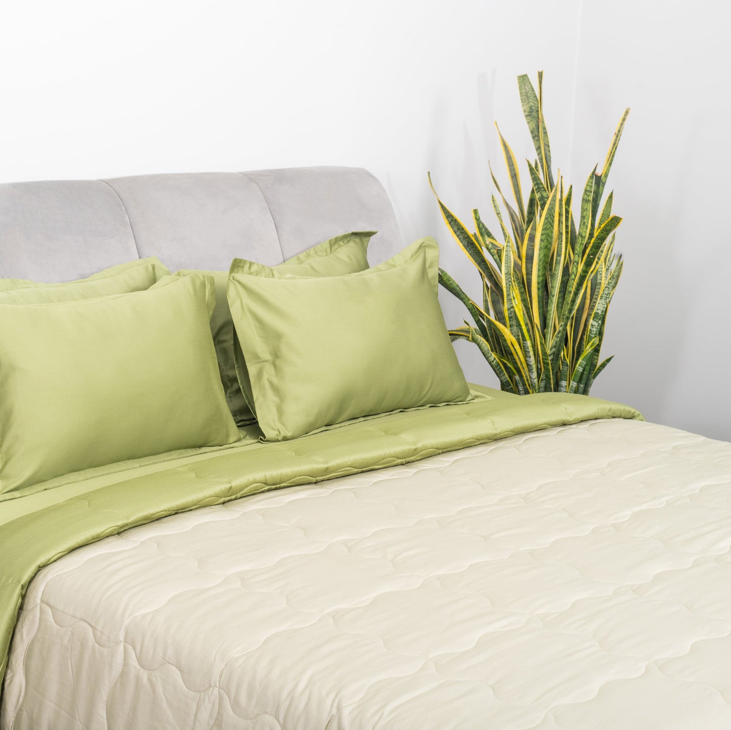 Forest Sage & Olive Comforter