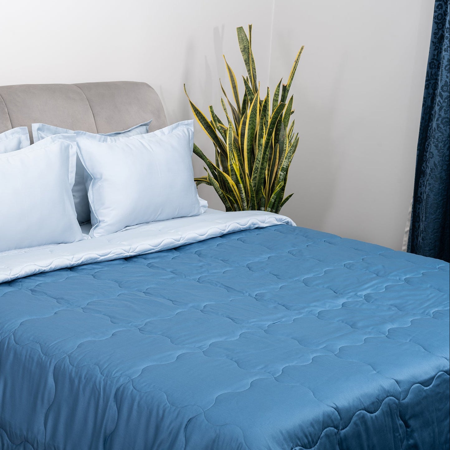 Blue Salt & Regal Whale Comforter