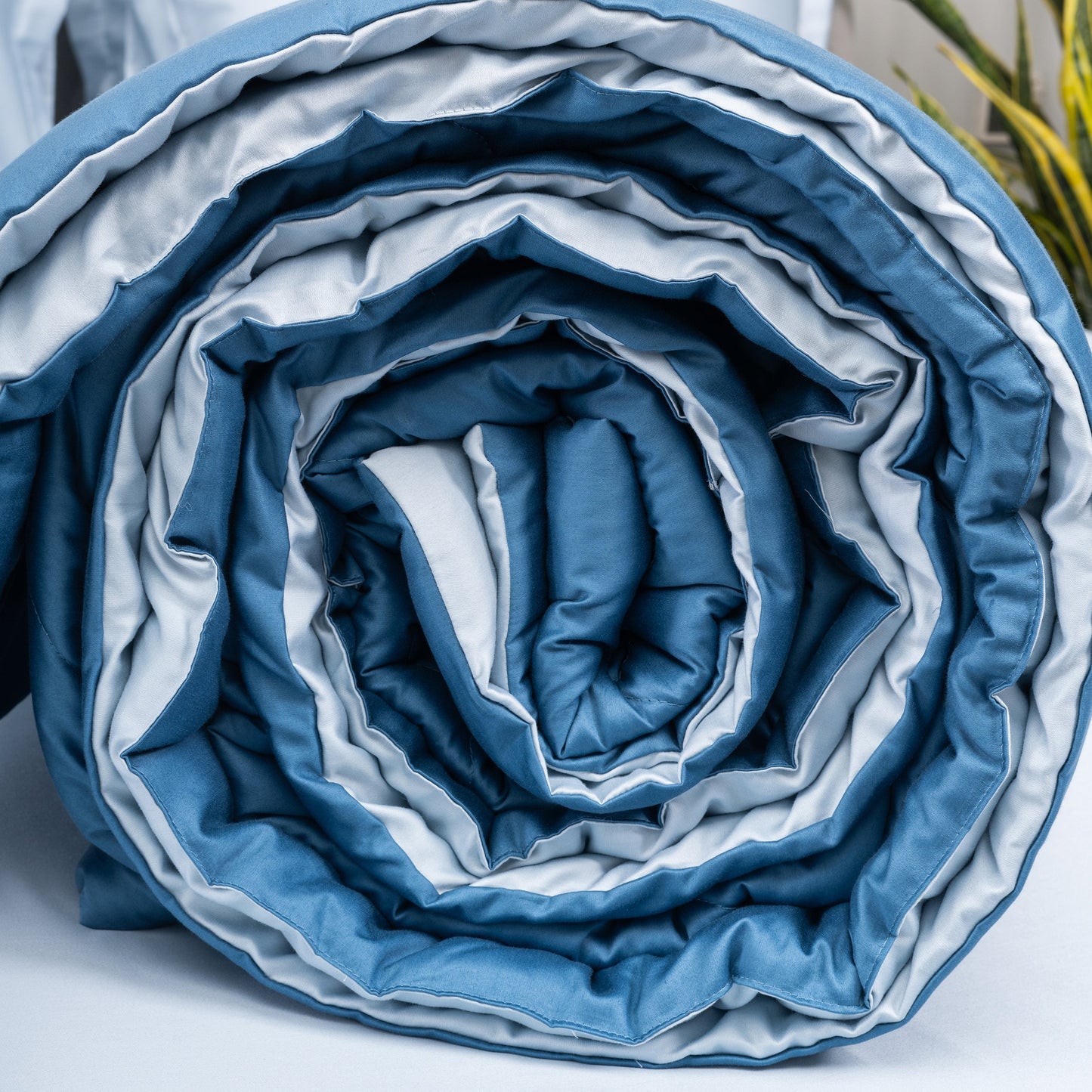 Blue Salt & Regal Whale Comforter