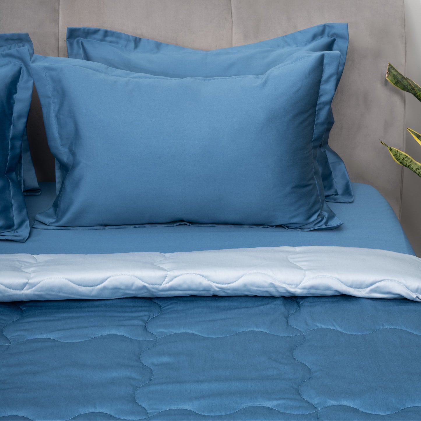 Blue Salt & Regal Whale Comforter
