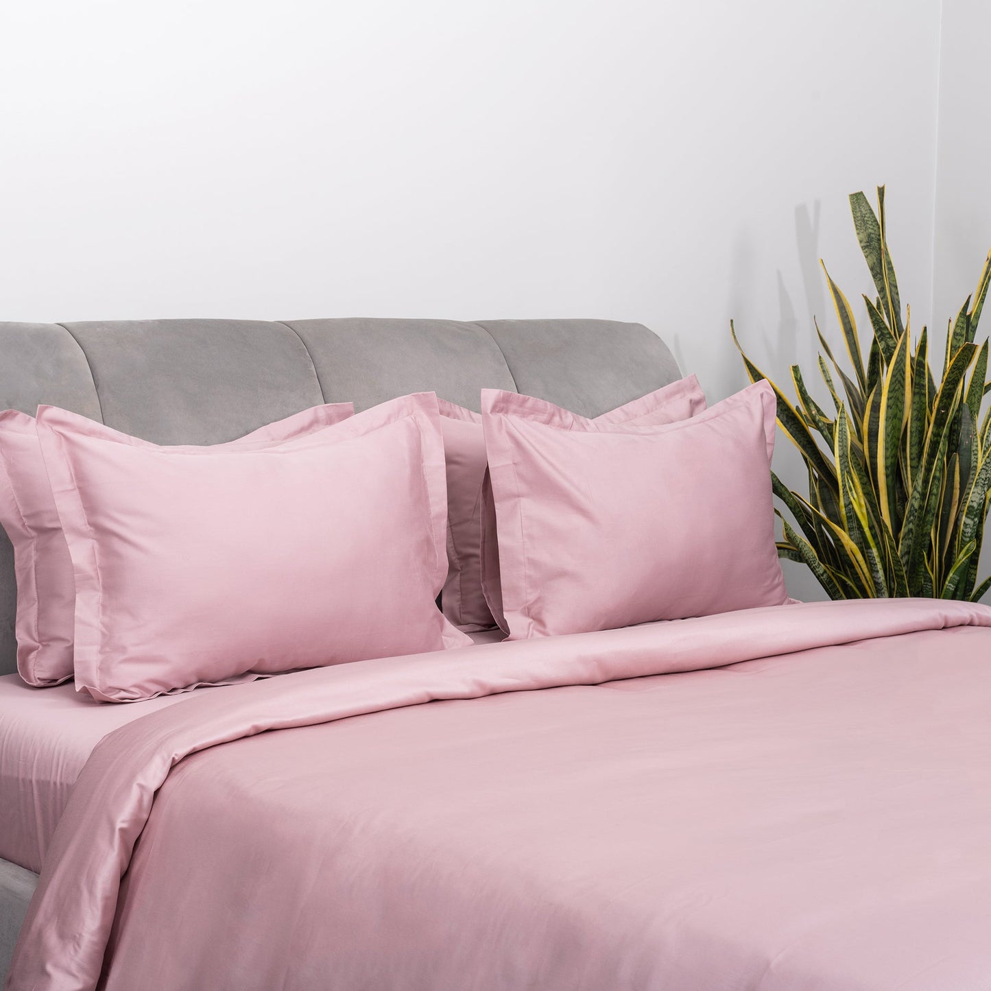 Blush Duvet Covers