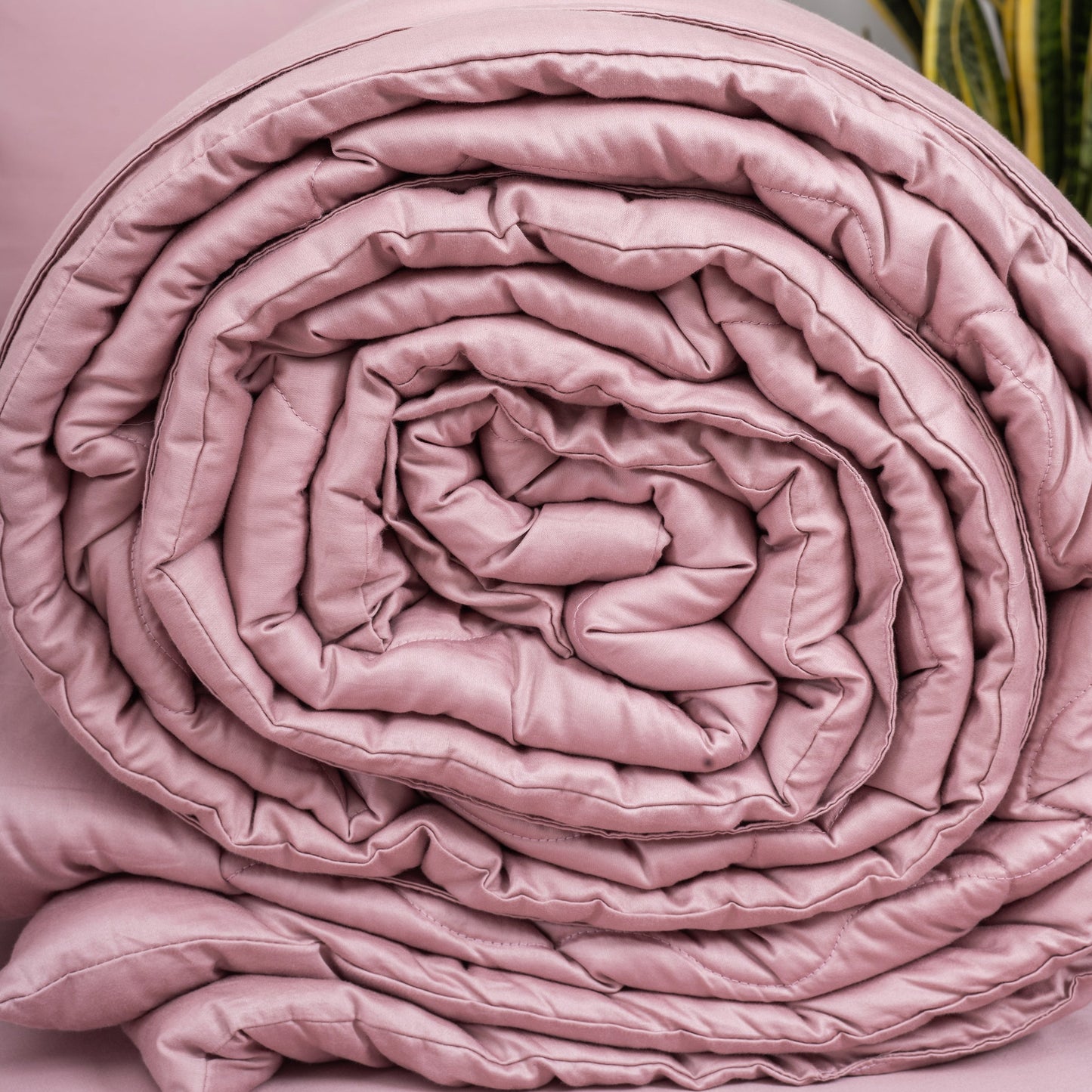 Blush Comforter